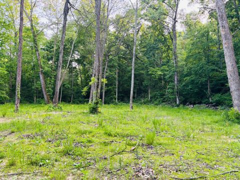 Vacant Land For Sale - Laurel Road<br/> Laurel, IN 47024