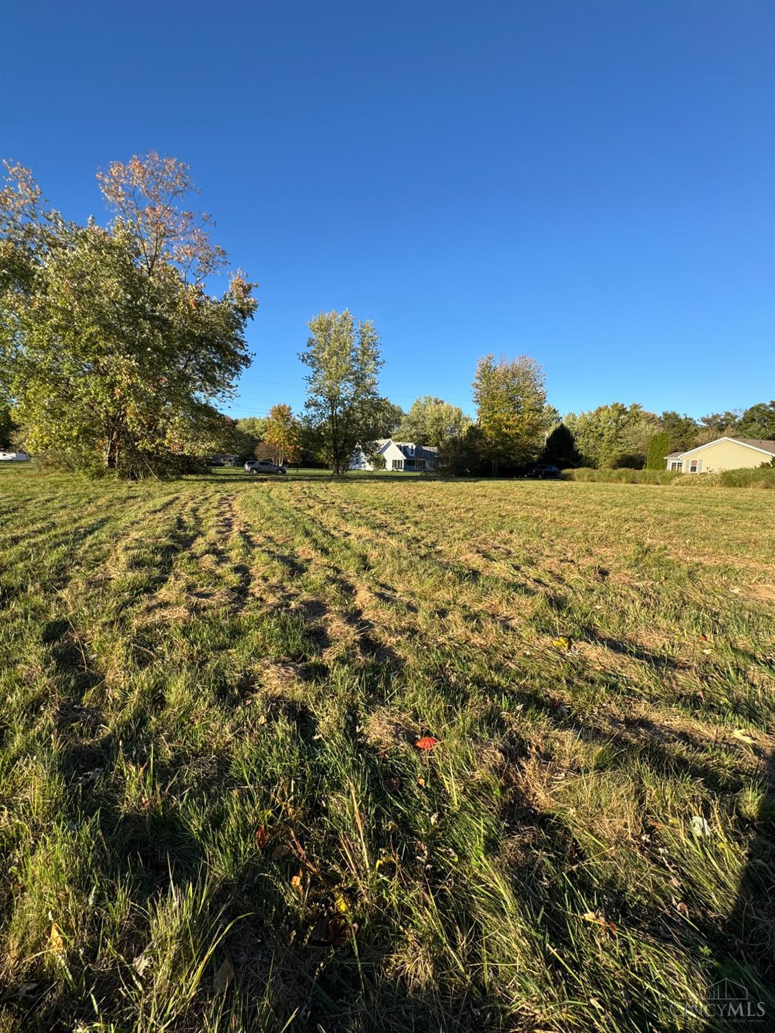 219 Schlitz Dr