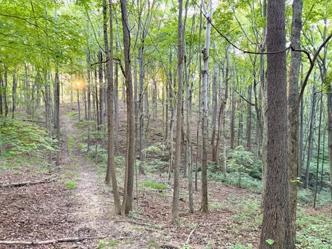 Photo for 0 Greenbriar Road