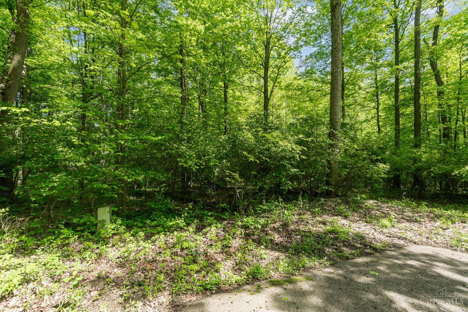 Merwin Farms Drive, Pierce Twp, Ohio image 5