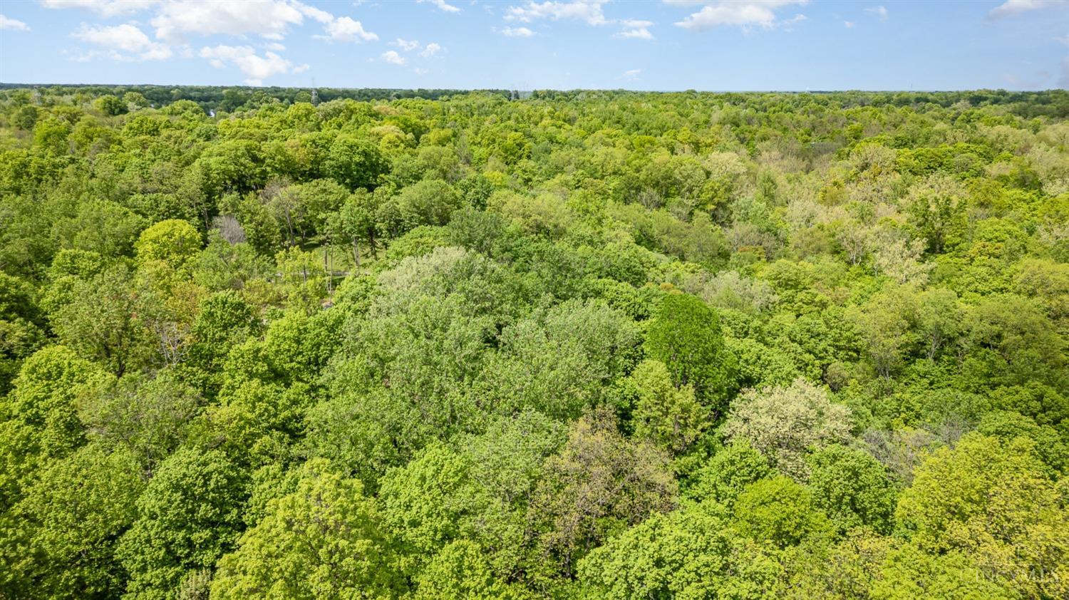 Merwin Farms Drive, Pierce Twp, Ohio image 13