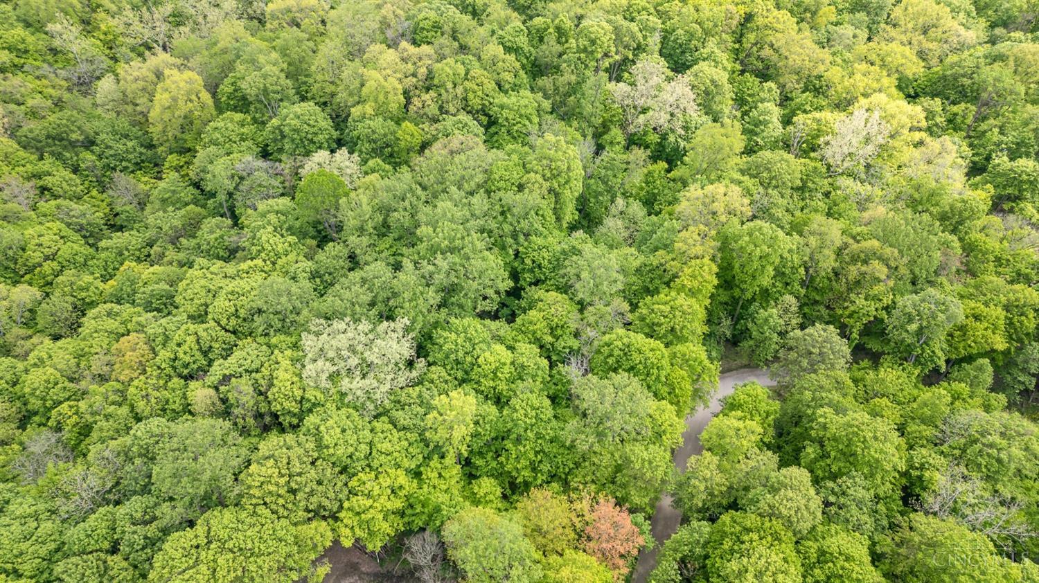 Merwin Farms Drive, Pierce Twp, Ohio image 11