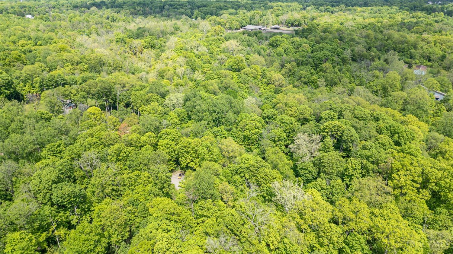 Merwin Farms Drive, Pierce Twp, Ohio image 14