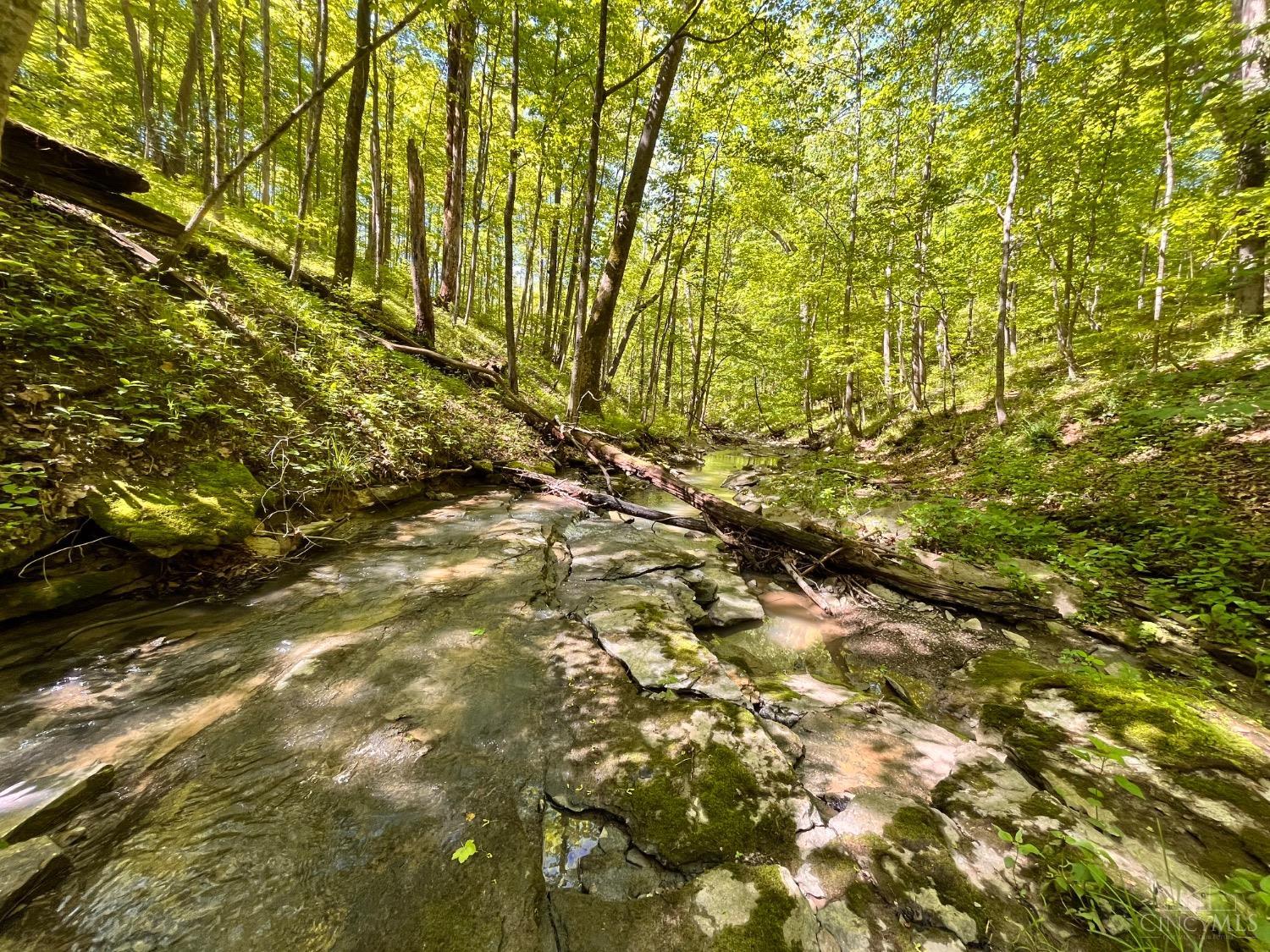 Merwin Farms Drive, Pierce Twp, Ohio image 17
