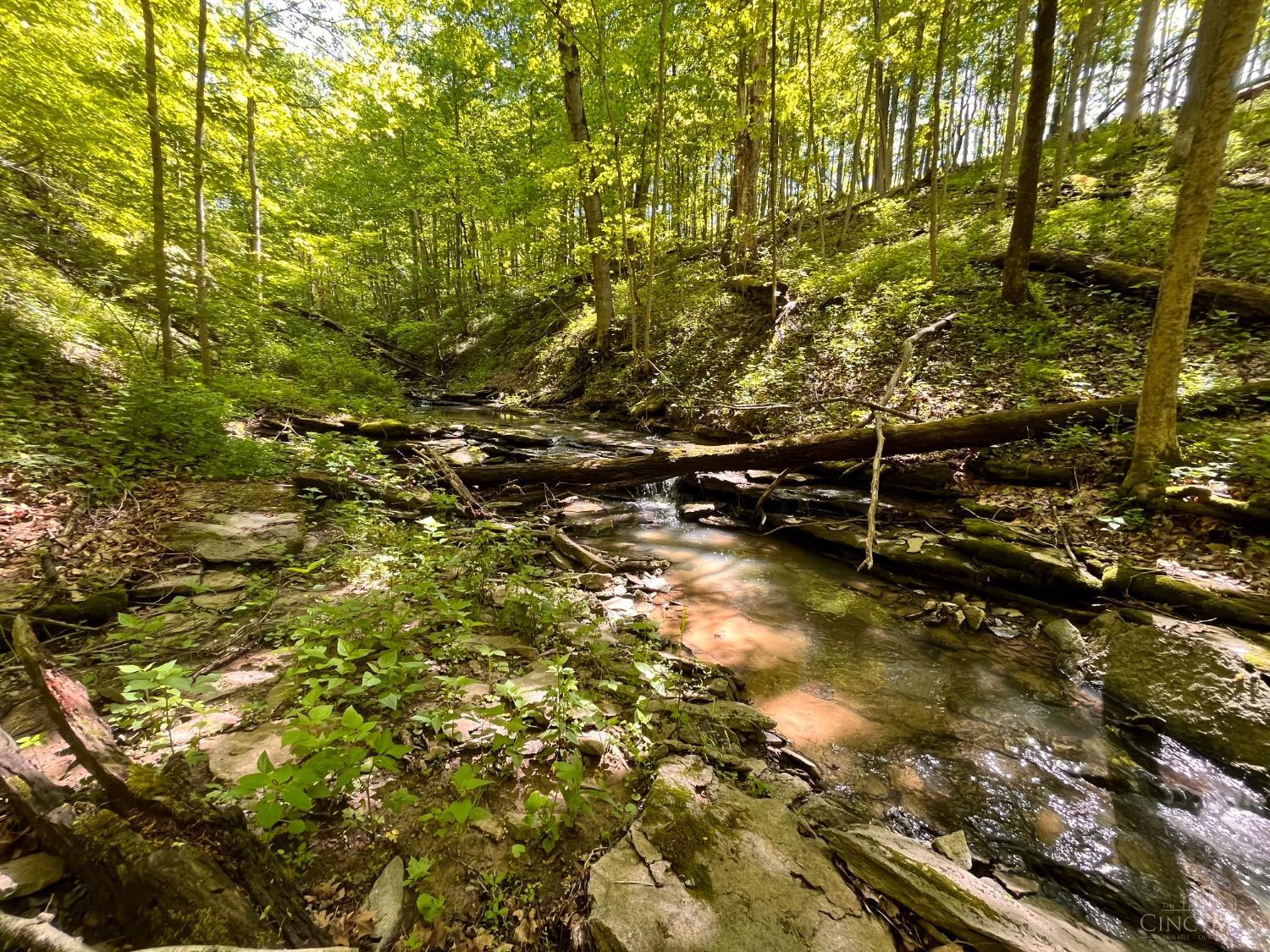Merwin Farms Drive, Pierce Twp, Ohio image 19