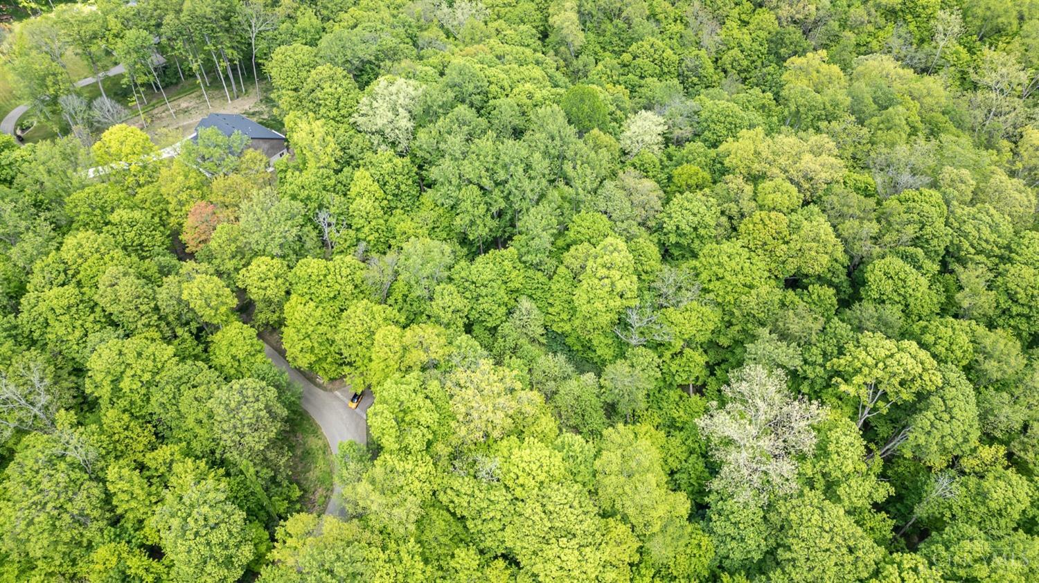 Merwin Farms Drive, Pierce Twp, Ohio image 10