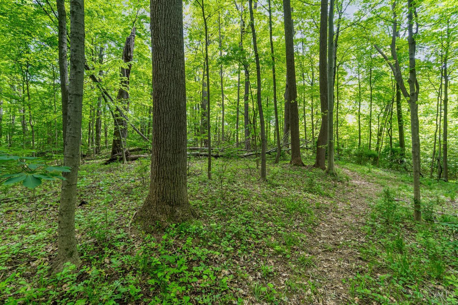 Merwin Farms Drive, Pierce Twp, Ohio image 3