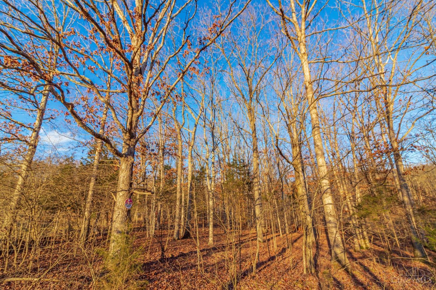 299 Jason Lane, Tiffin Twp, Ohio image 24