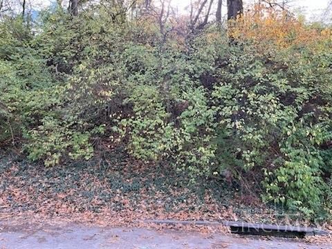 Vacant Land For Sale - 521 Tafel Street<br/> Hamilton County, Cincinnati, OH 45225