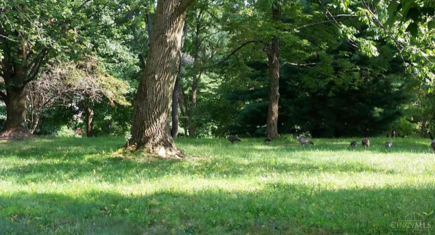 Mochican Cove, Franklin, Ohio image 3