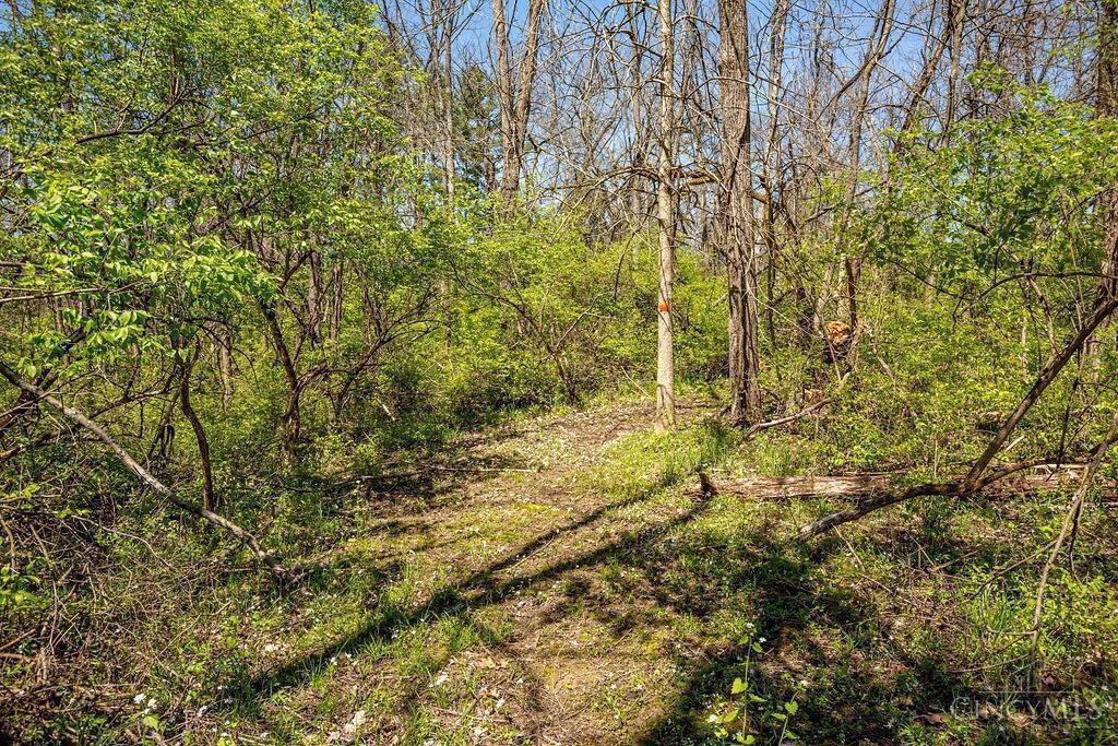 5090 Magie Hill Lane, Oxford, Ohio image 6