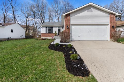 19 Bobwhite Court Pierce Twp OH 45102