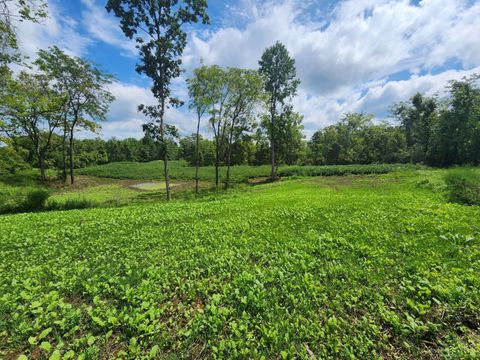 Photo of 503 Lick Skillet Road, Manchester, OH 45144 (MLS # 1845514)