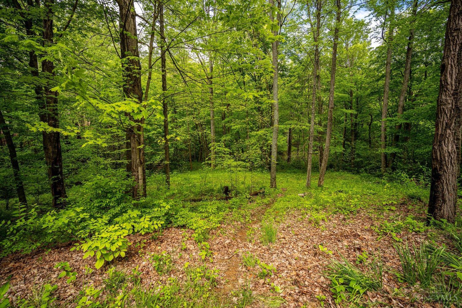 2482 Koehler Drive, Monroe, Ohio image 41