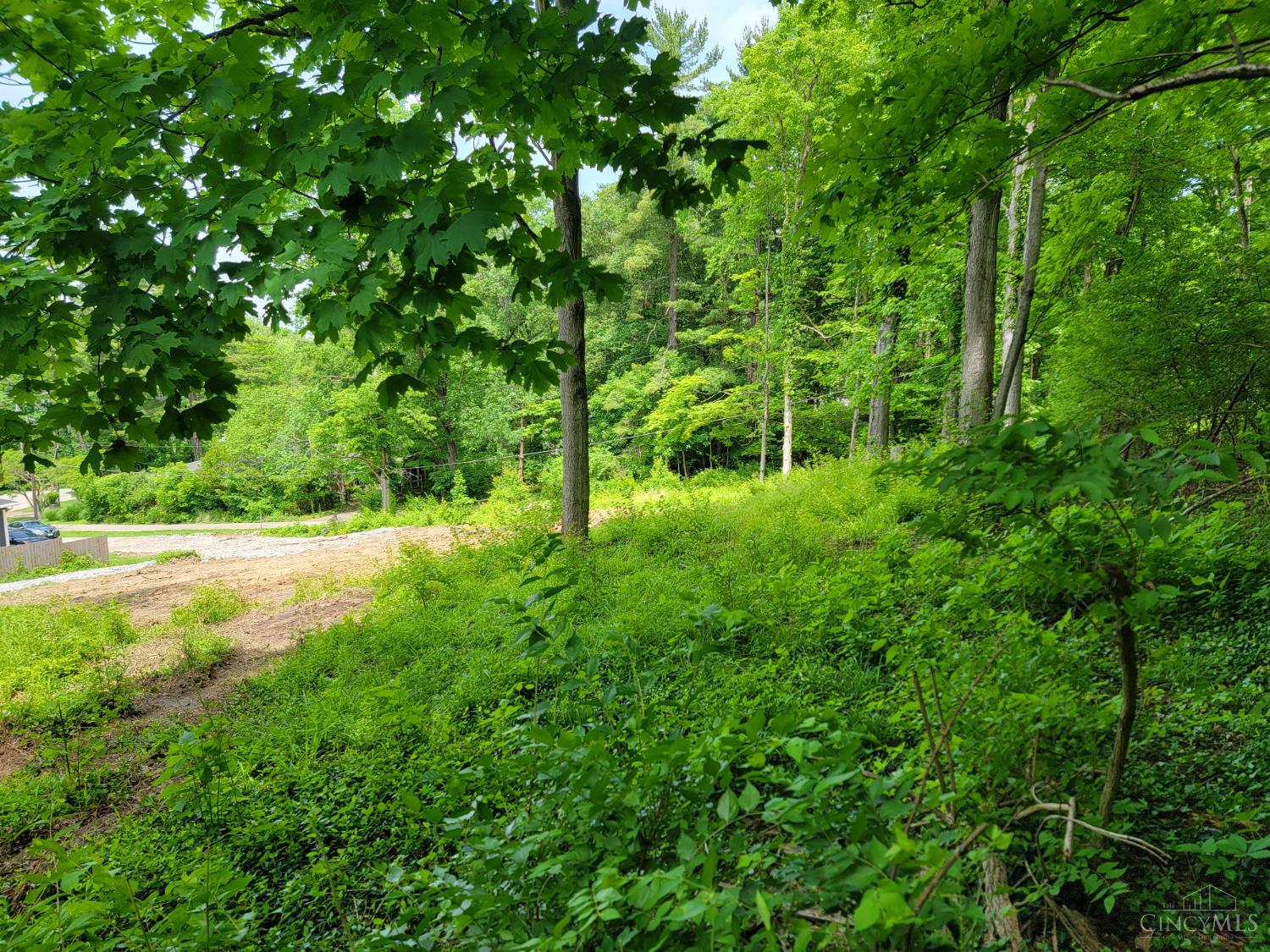 7114 Paddison Road, Anderson Twp, Ohio image 3