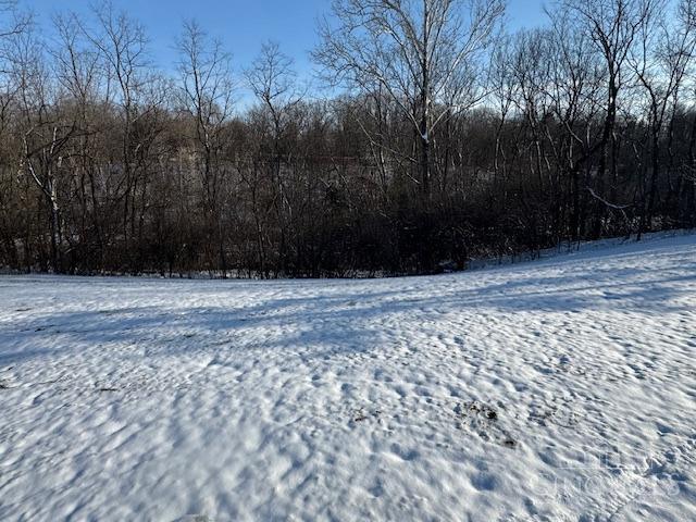 Lot French Court, Maineville, Ohio image 16