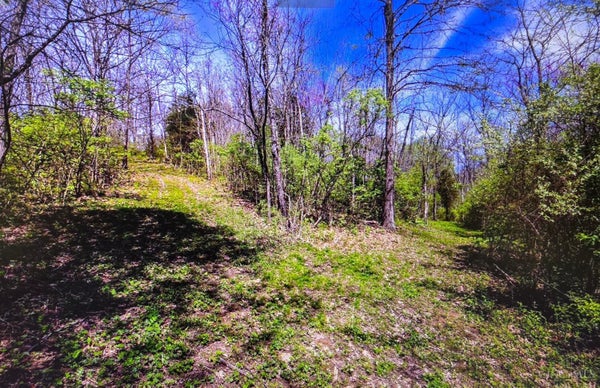 0 CAROLINA TRACE ROAD, HARRISON TWP, OH 45030 - Image 620ea07feafb5d7da2fc45a01d189bba/335942839