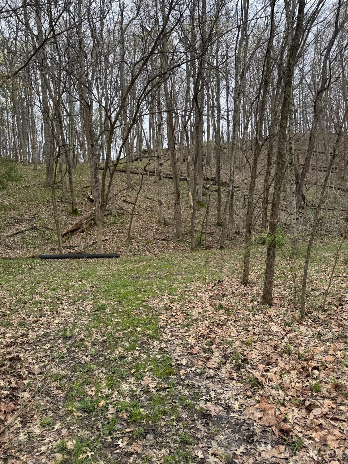 AC Stony Hollow Road, Georgetown, Ohio image 3