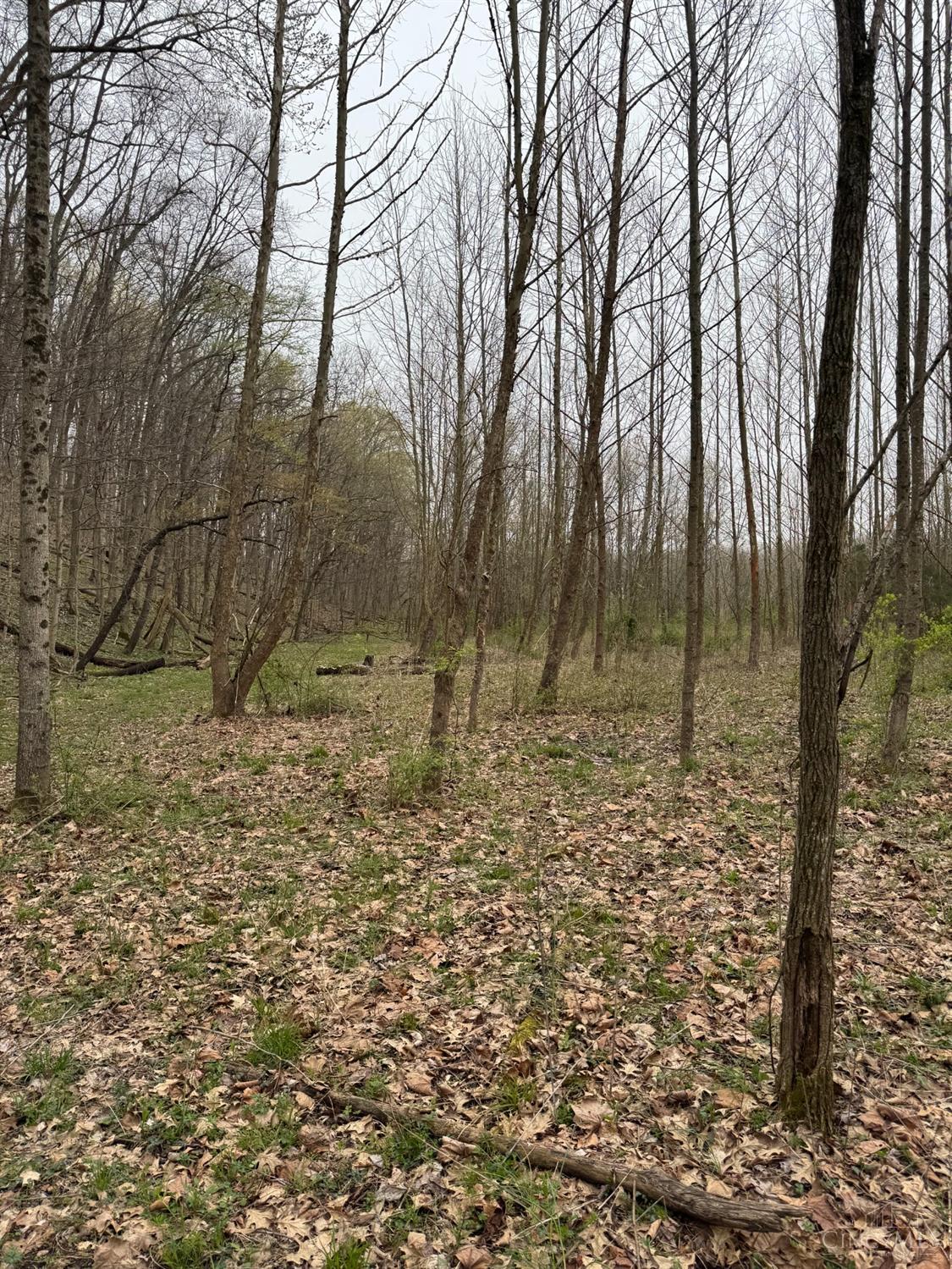 AC Stony Hollow Road, Georgetown, Ohio image 4