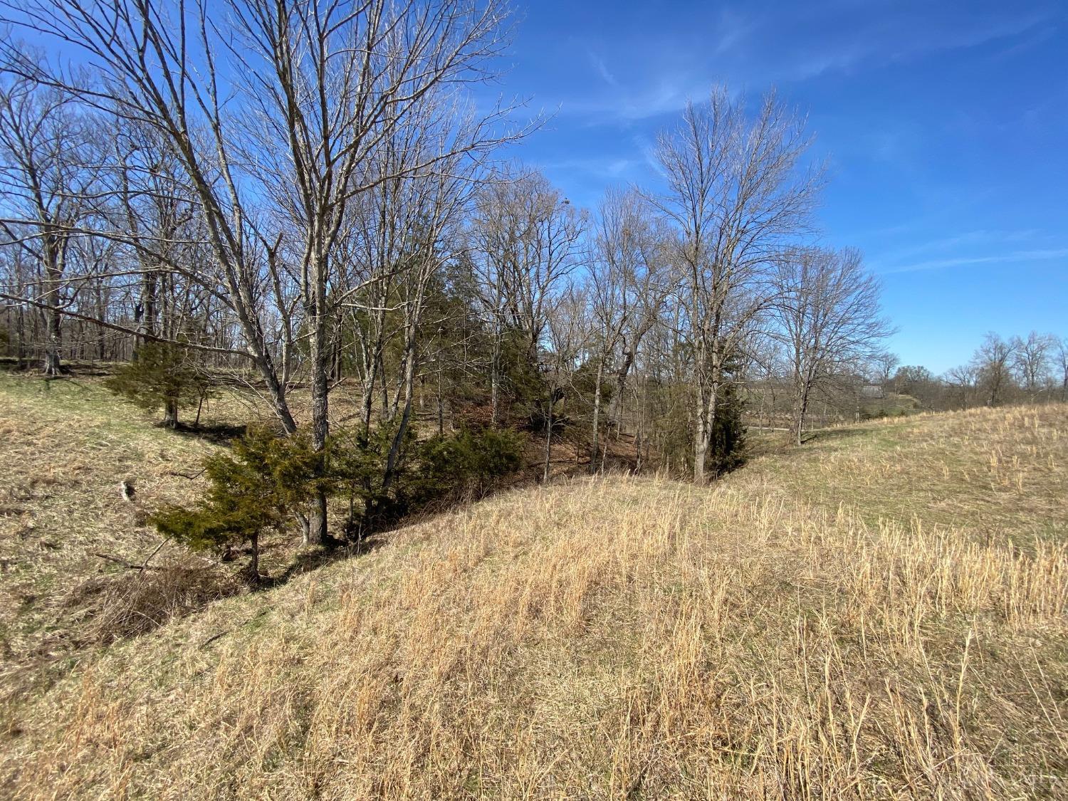 288 Wildcat Road, Winchester, Ohio image 27