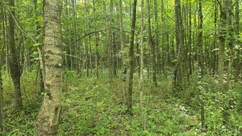 Vacant Land For Sale - 508 Cherry Street<br/> Blanchester, OH 45107