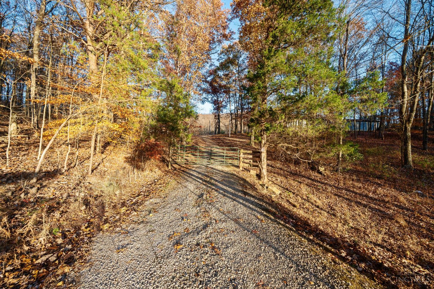98 Coon Hollow Road