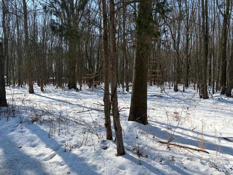 Vacant Land For Sale - 6149 Belfast Road<br/> Clermont County, Stonelick Twp, OH 45122