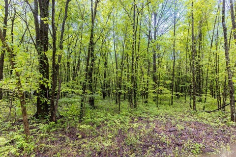Vacant Land For Sale - 6149 Belfast Road<br/> Stonelick Twp, OH 45122
