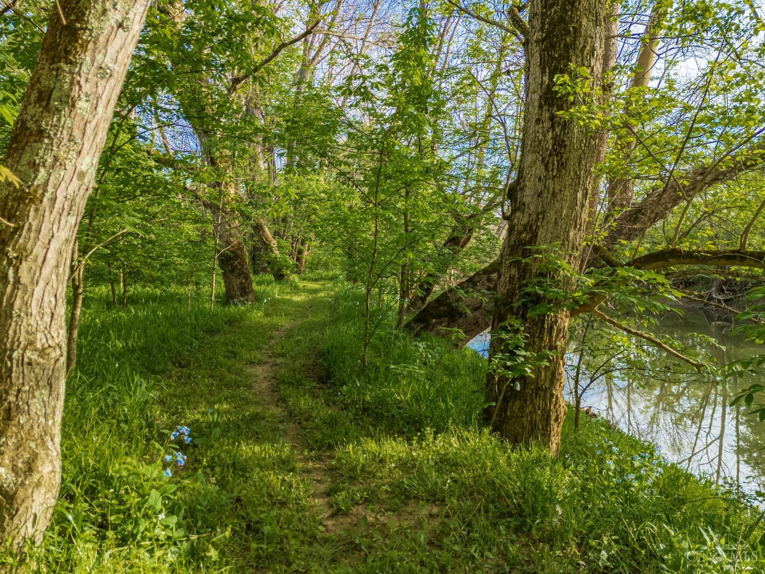 1225 Stoney Road, Peebles, Ohio image 45