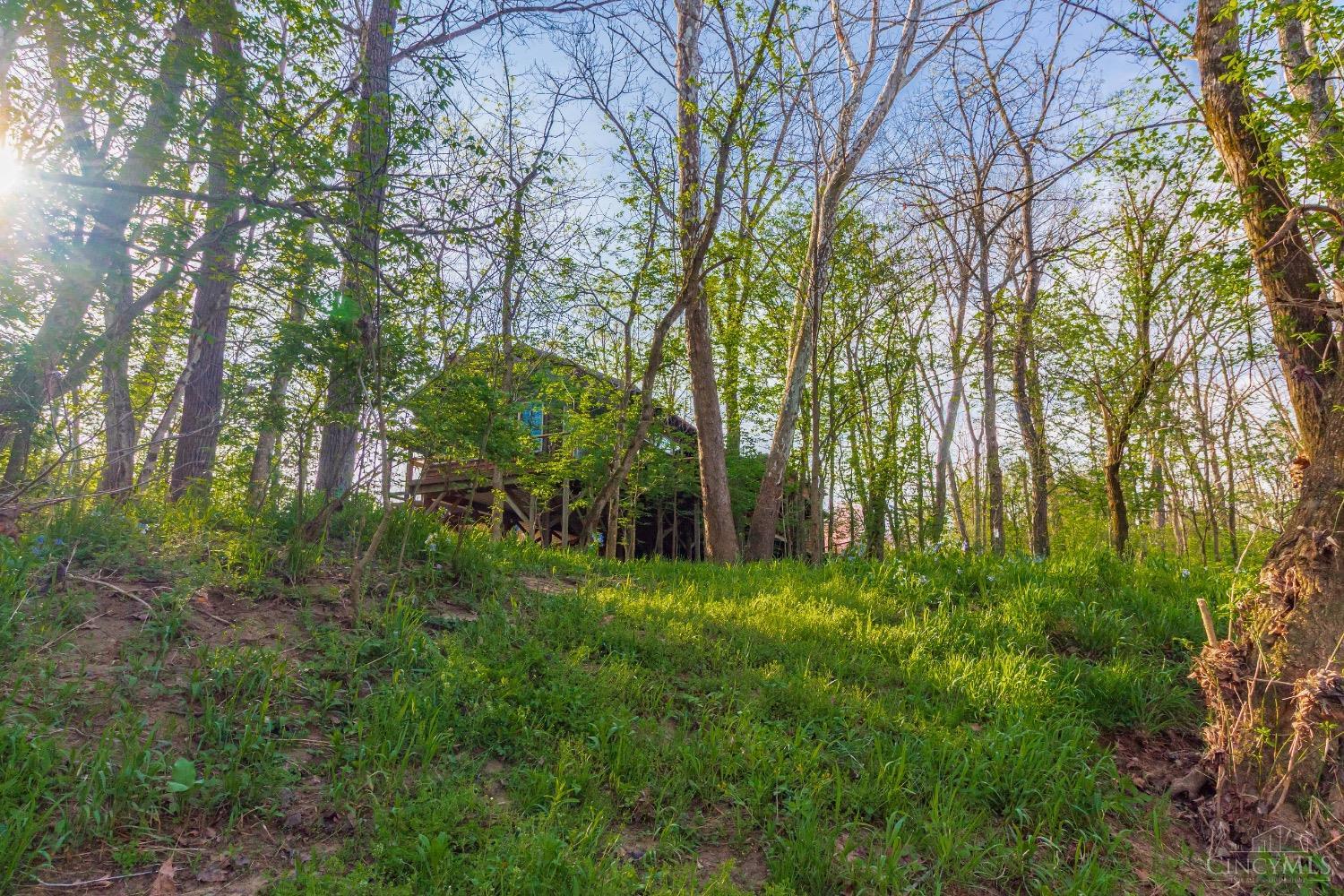 1225 Stoney Road, Peebles, Ohio image 25
