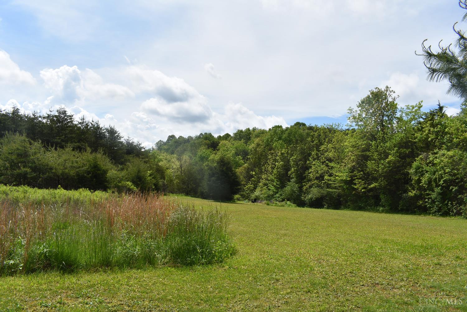 1163 Frog Hollow Road, Peebles, Ohio image 7