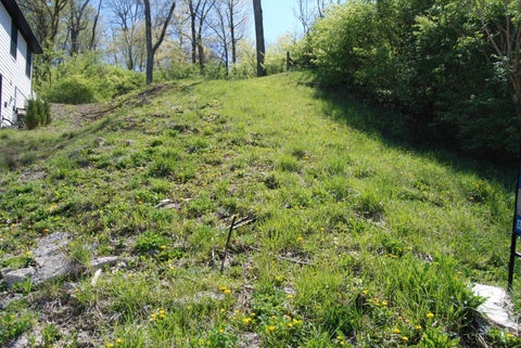 Vacant Land For Sale - 764 Delta Avenue<br/> Hamilton County, Cincinnati, OH 45226