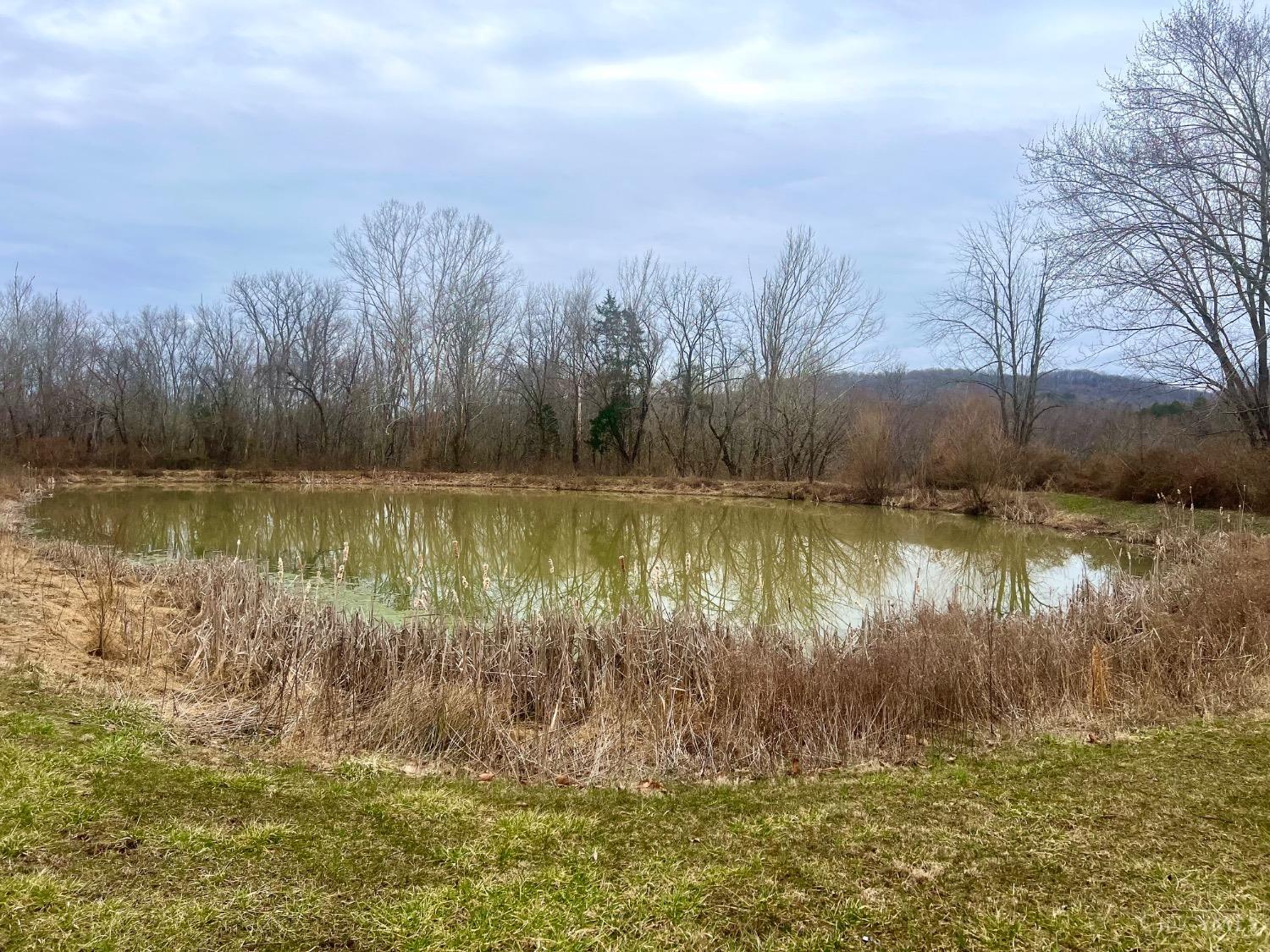 455 Waggoner Riffle Road, Lynx, Ohio image 50