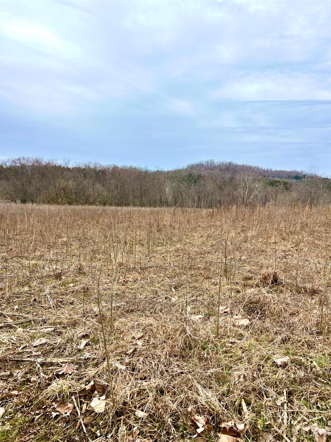 455 Waggoner Riffle Road, Lynx, Ohio image 13