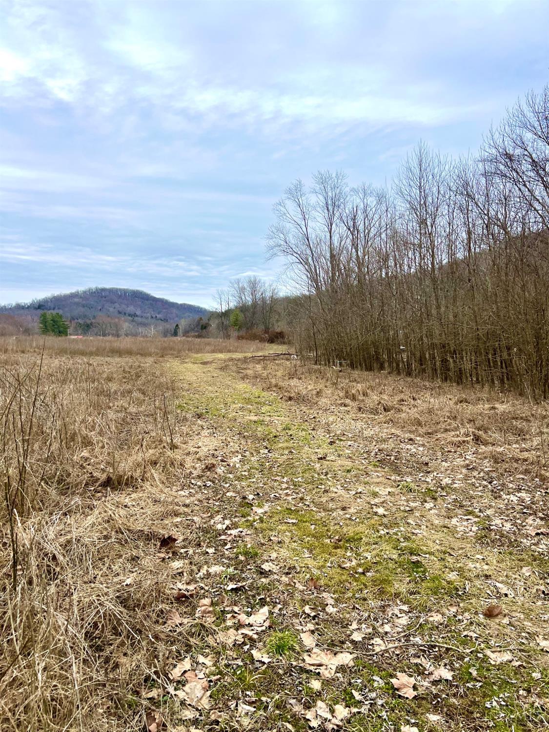 455 Waggoner Riffle Road, Lynx, Ohio image 15
