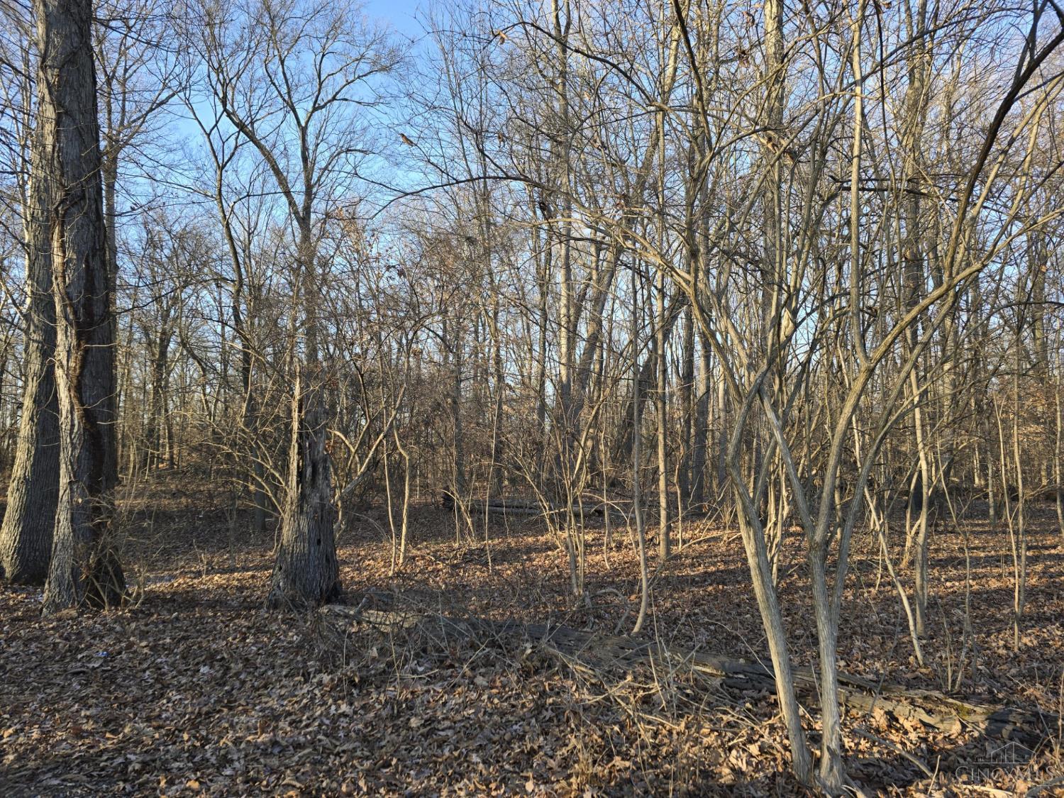 4493 Schoolhouse Road