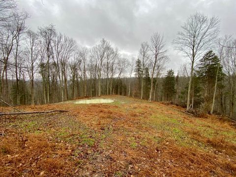 Vacant Land For Sale - 1334 Roush Hill Road<br/> Manchester, OH 45144