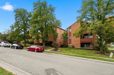 Photo of 4905 Chalet Drive #101, St Bernard, OH 45217 (MLS # 1859137) Photo of 4905 Chalet Drive #101, St Bernard, OH 45217 (MLS # 1859137)