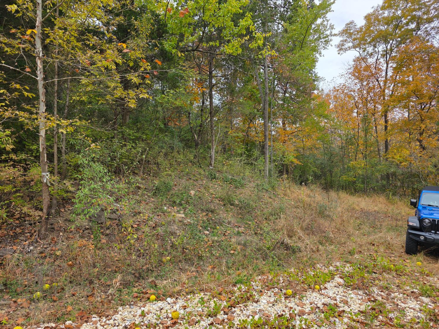 10485 New Biddinger Road