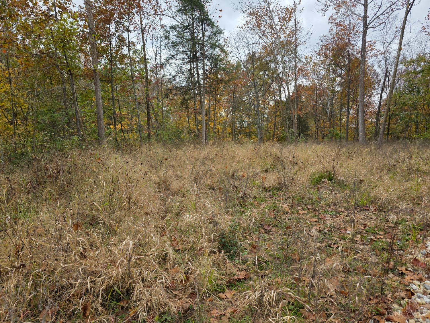 10485 New Biddinger Road