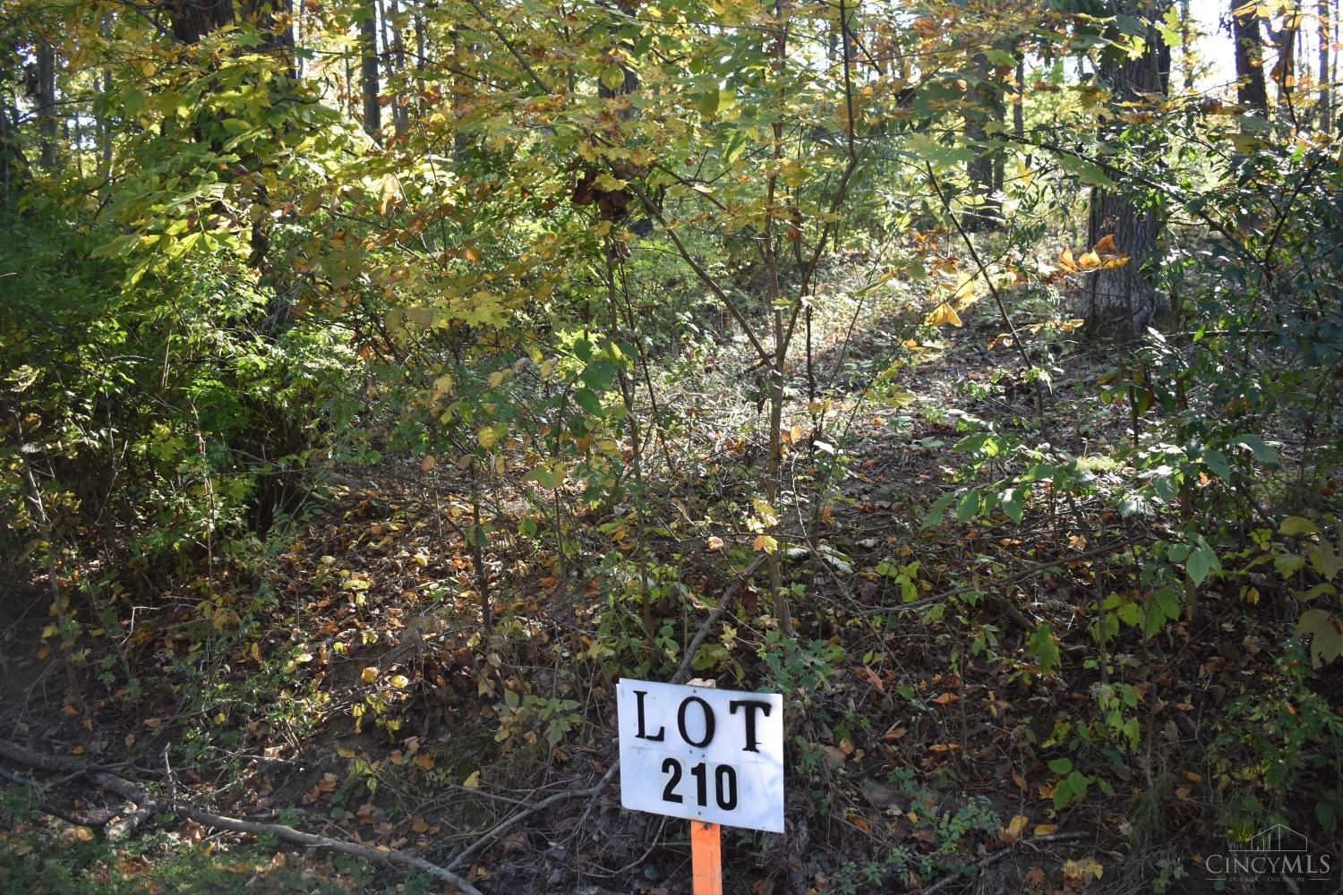 0 Schiltz Drive 210