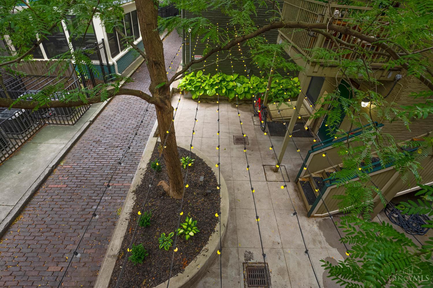 1407 Vine Street 202