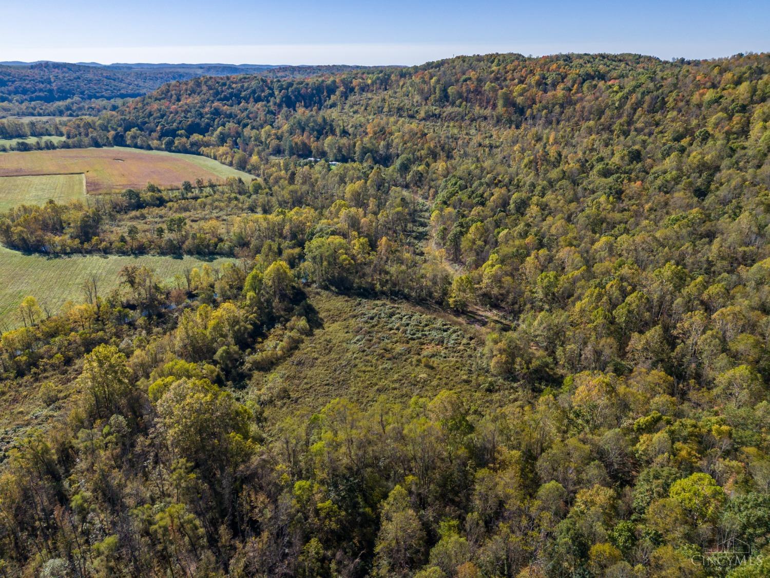 St Rt 73, Brushcreek Twp, Ohio image 46