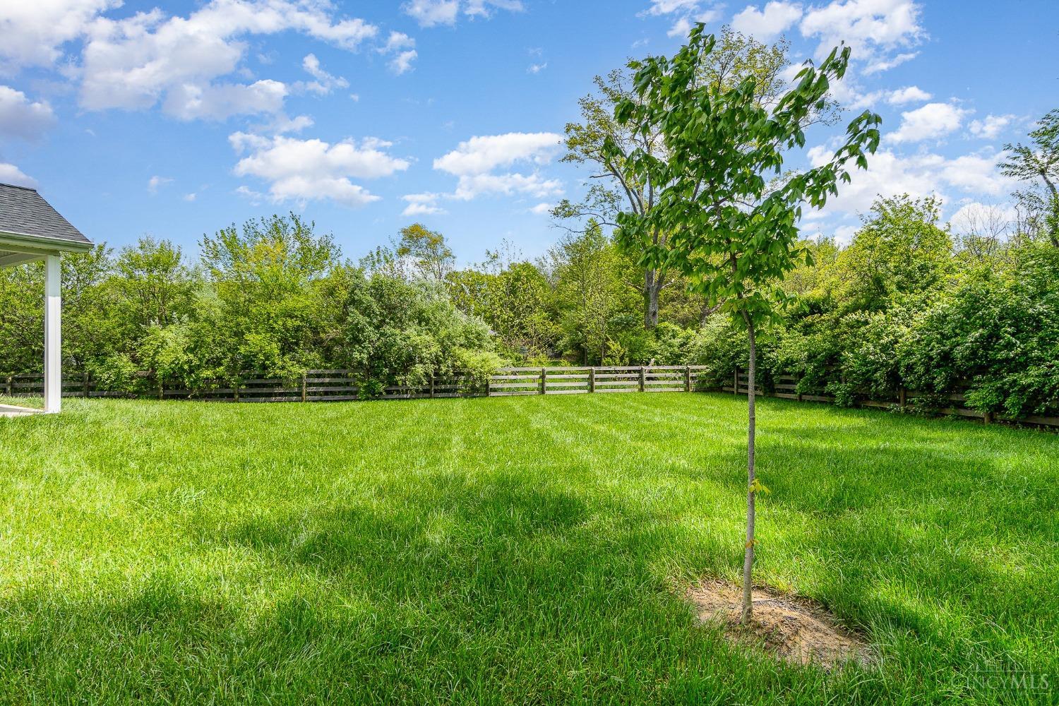 129 Ella Rose Drive, Mt Orab, Alabama image 23