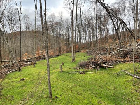 Vacant Land For Sale - AC Beech Fork Road<br/> Adams County, Otway, OH 45657