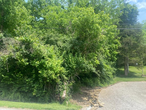 Vacant Land For Sale - 7850 Old Kellogg Road<br/> Hamilton County, Cincinnati, OH 45255