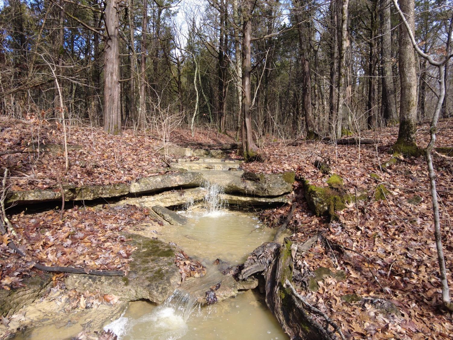 Ac Lawshe Road, Meigs Twp, Ohio image 21