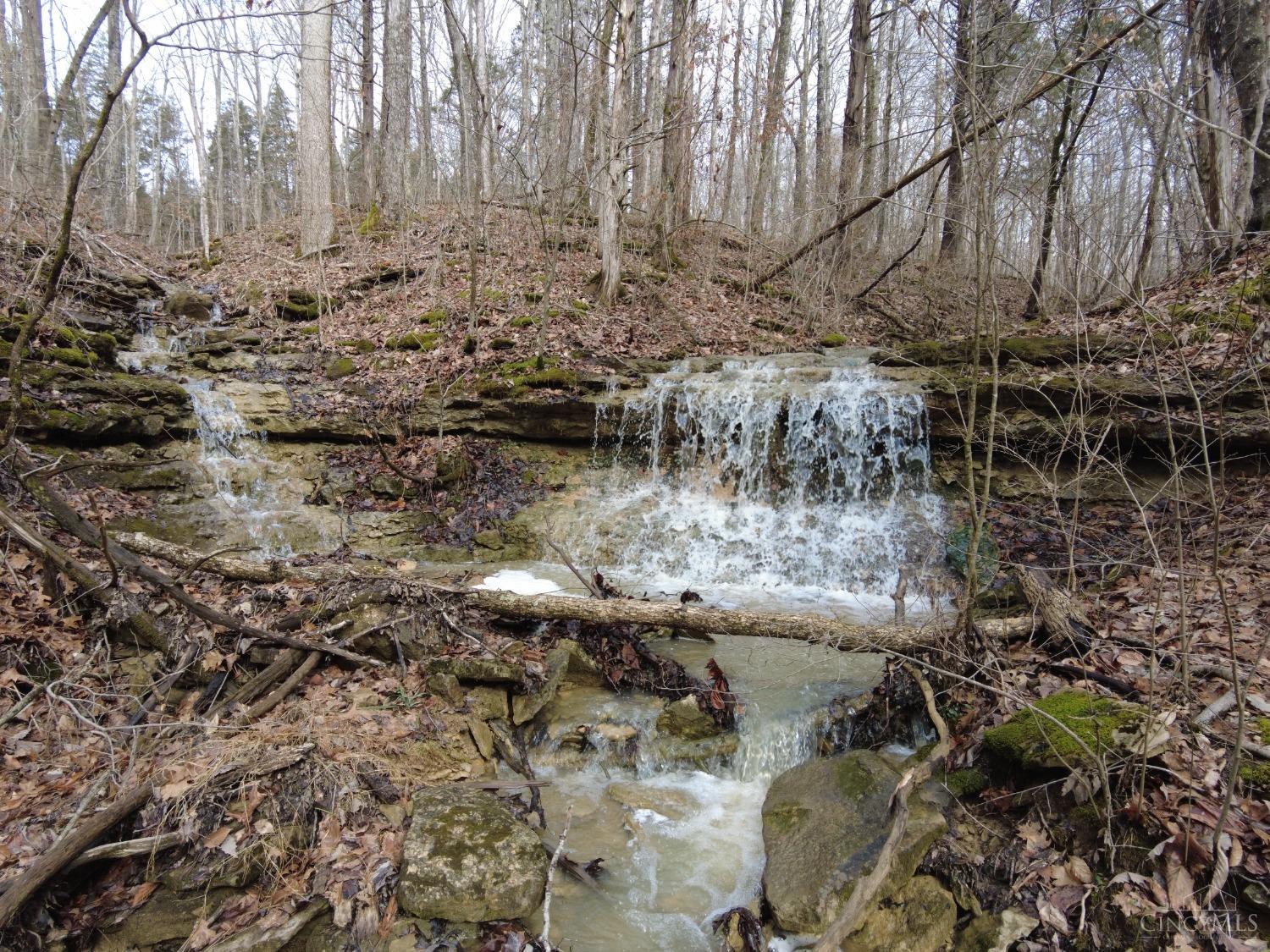 Ac Lawshe Road, Meigs Twp, Ohio image 1