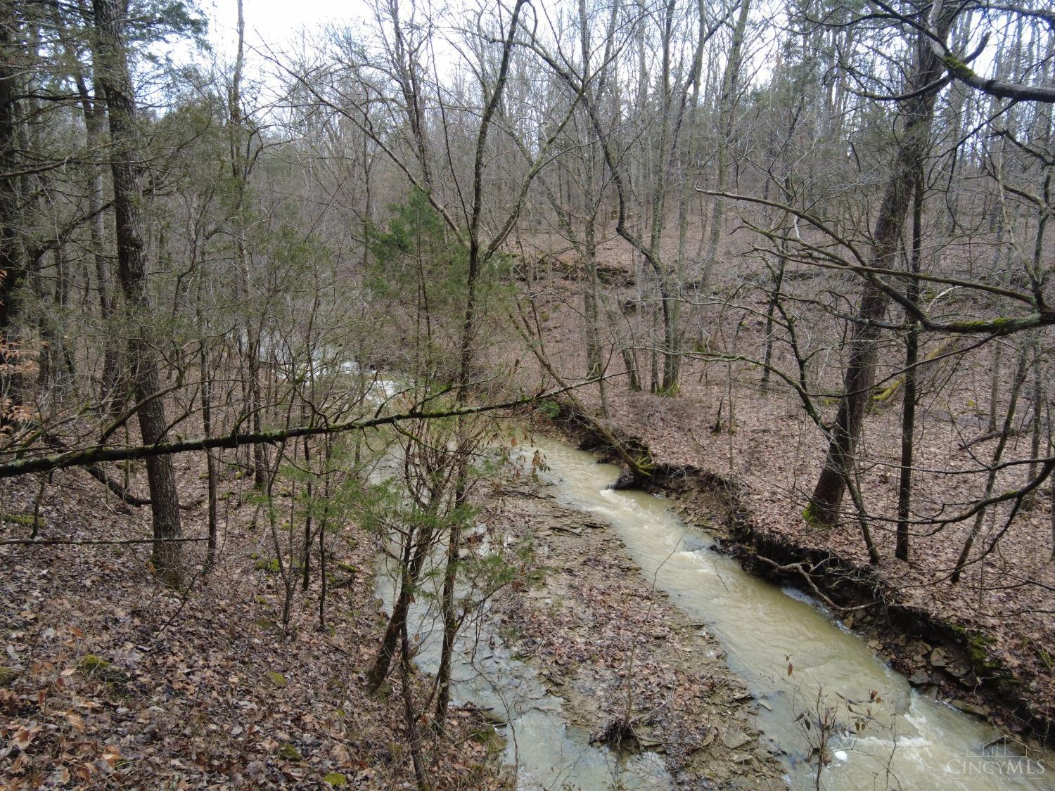 Ac Lawshe Road, Meigs Twp, Ohio image 8