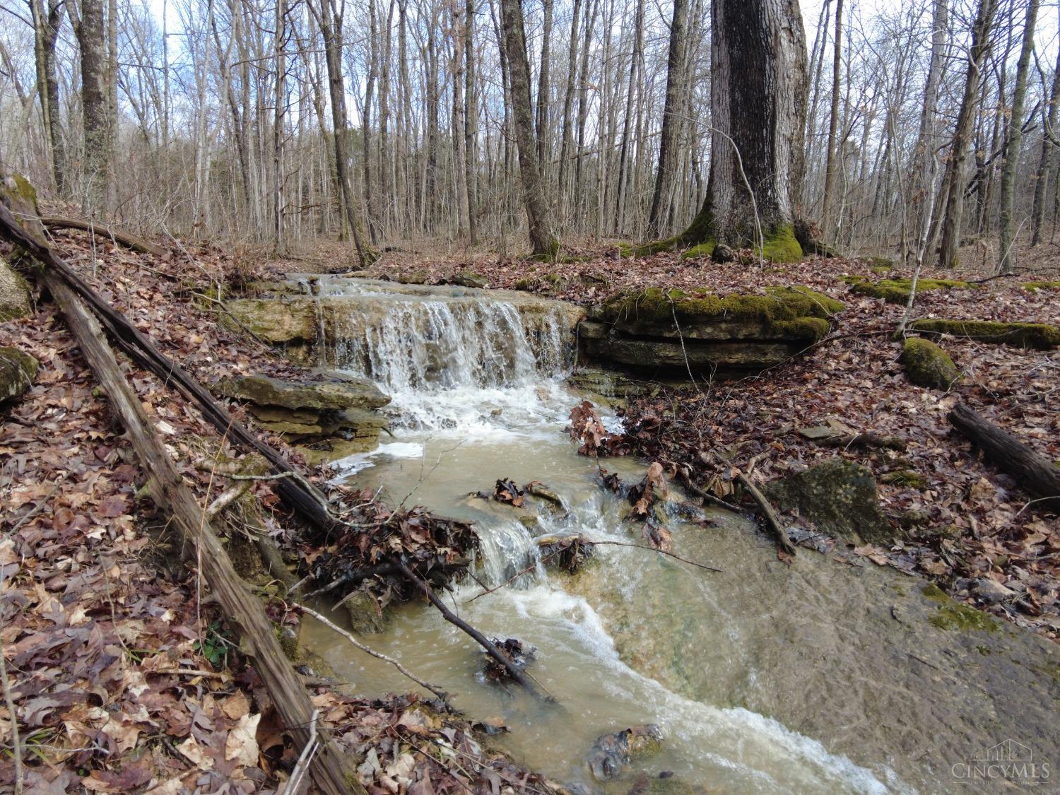 Ac Lawshe Road, Meigs Twp, Ohio image 20